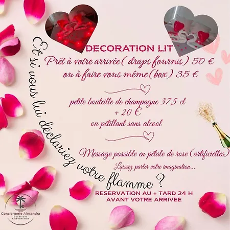 Le Miramar Face A La - Balcon - Clim Apartment Saint-Cyprien (Pyrenees-Orientales)