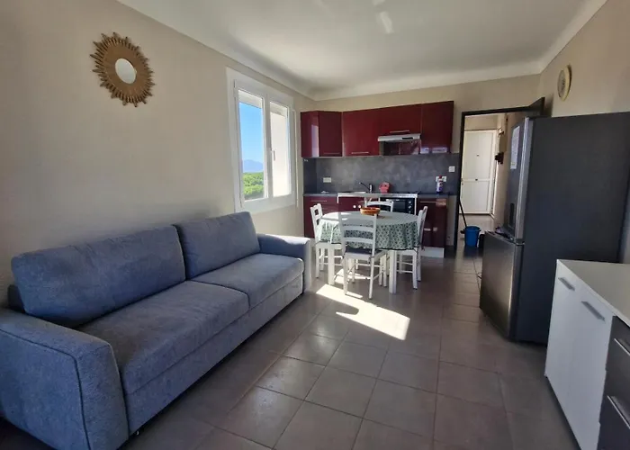 Appartement Le Miramar Face à La - Balcon - Clim Saint-Cyprien (Pyrenees-Orientales)